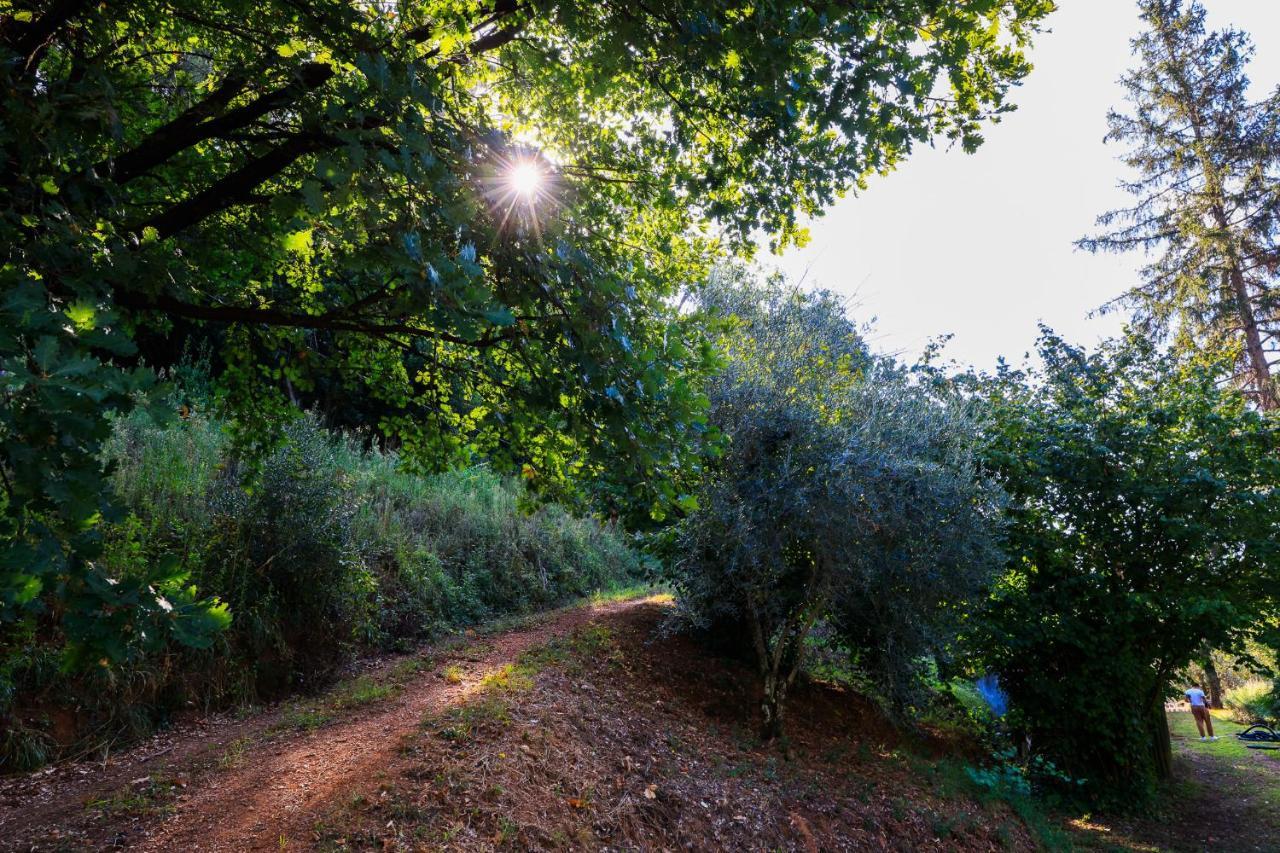 Agriturismo Terra Volonteri Montecatini Terme Eksteriør billede