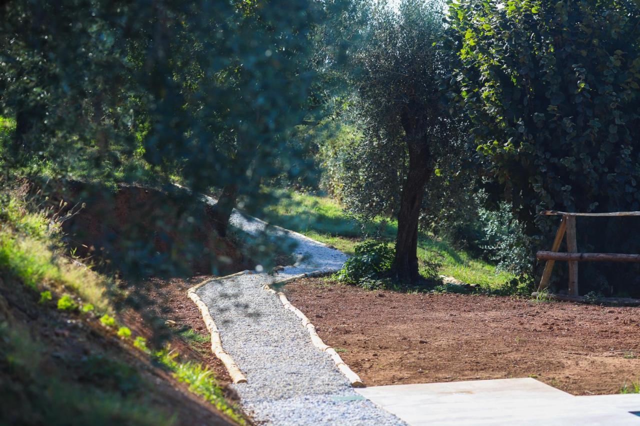 Agriturismo Terra Volonteri Montecatini Terme Eksteriør billede