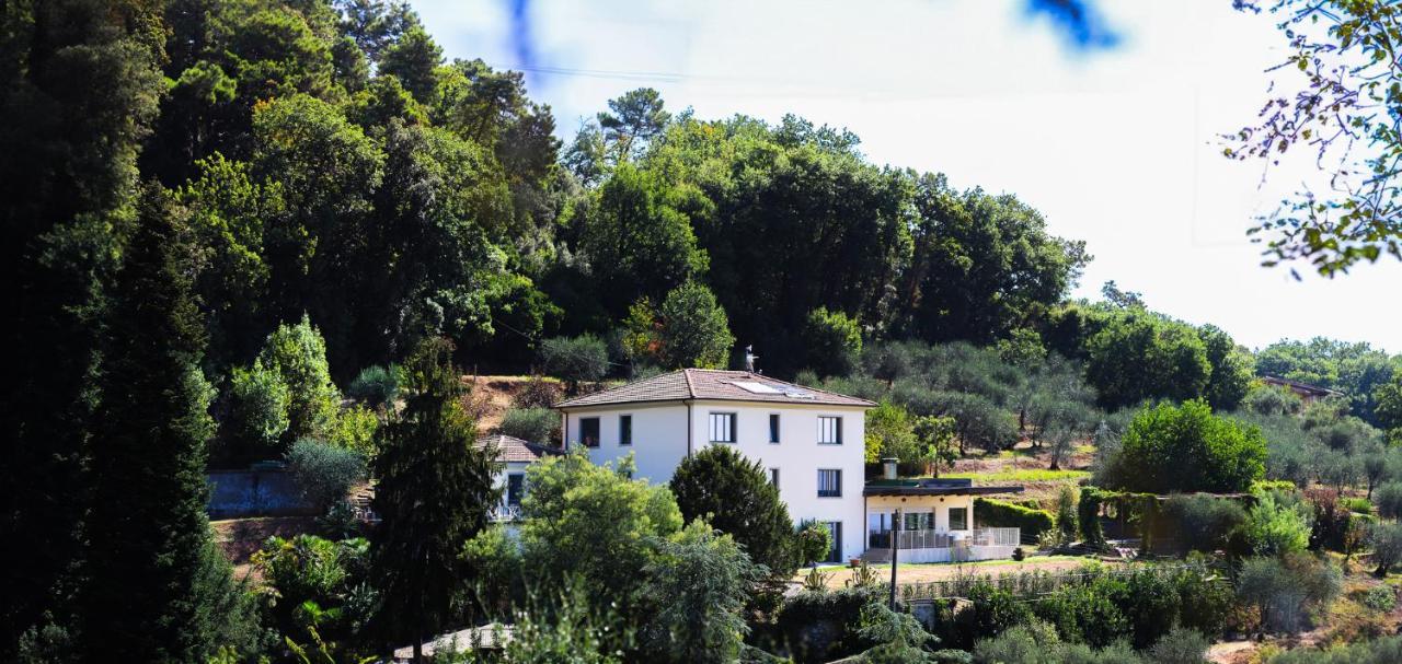 Agriturismo Terra Volonteri Montecatini Terme Eksteriør billede