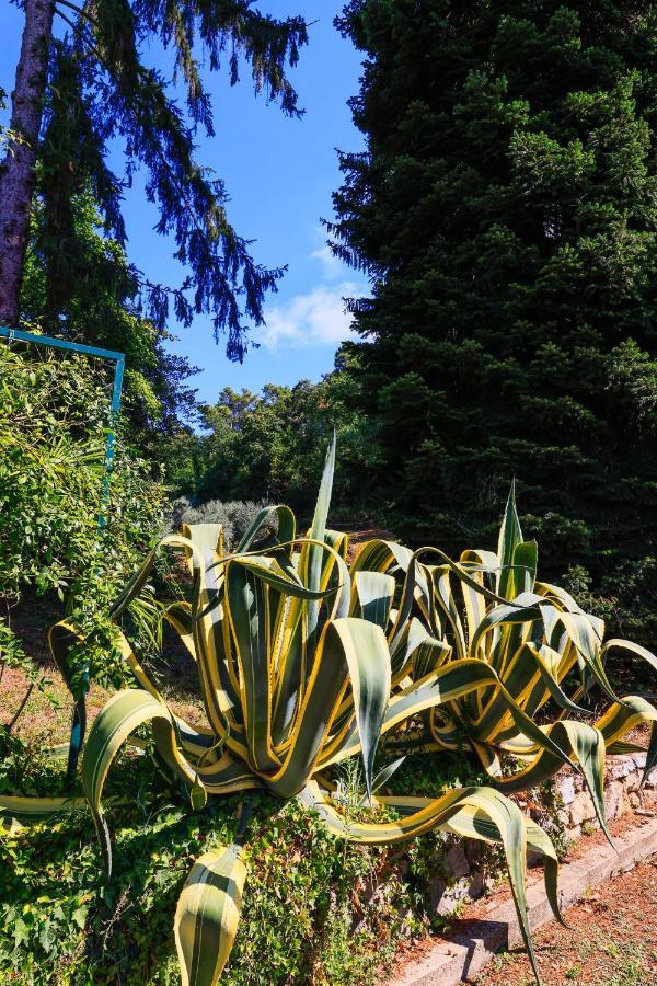 Agriturismo Terra Volonteri Montecatini Terme Eksteriør billede