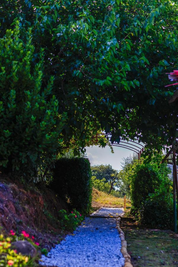 Agriturismo Terra Volonteri Montecatini Terme Eksteriør billede