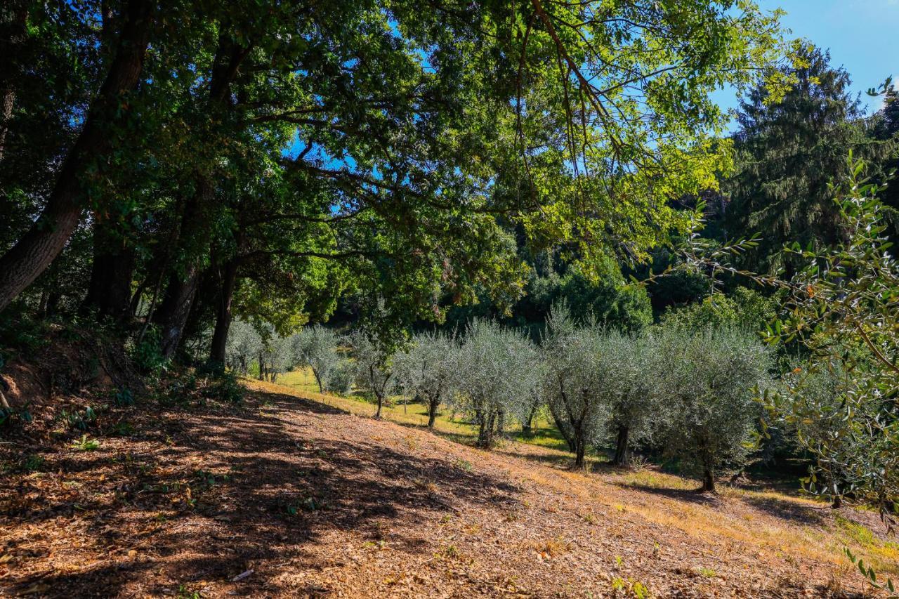 Agriturismo Terra Volonteri Montecatini Terme Eksteriør billede