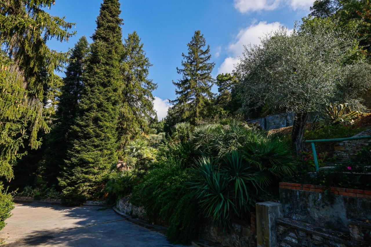 Agriturismo Terra Volonteri Montecatini Terme Eksteriør billede