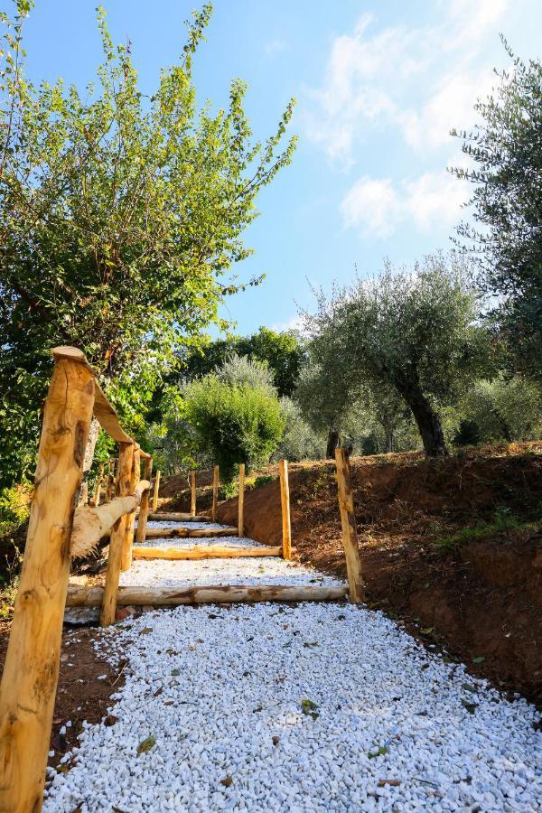 Agriturismo Terra Volonteri Montecatini Terme Eksteriør billede