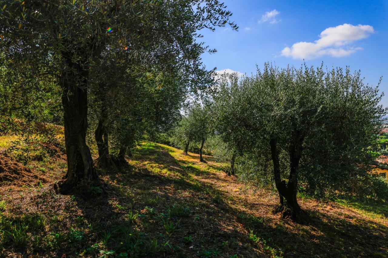 Agriturismo Terra Volonteri Montecatini Terme Eksteriør billede
