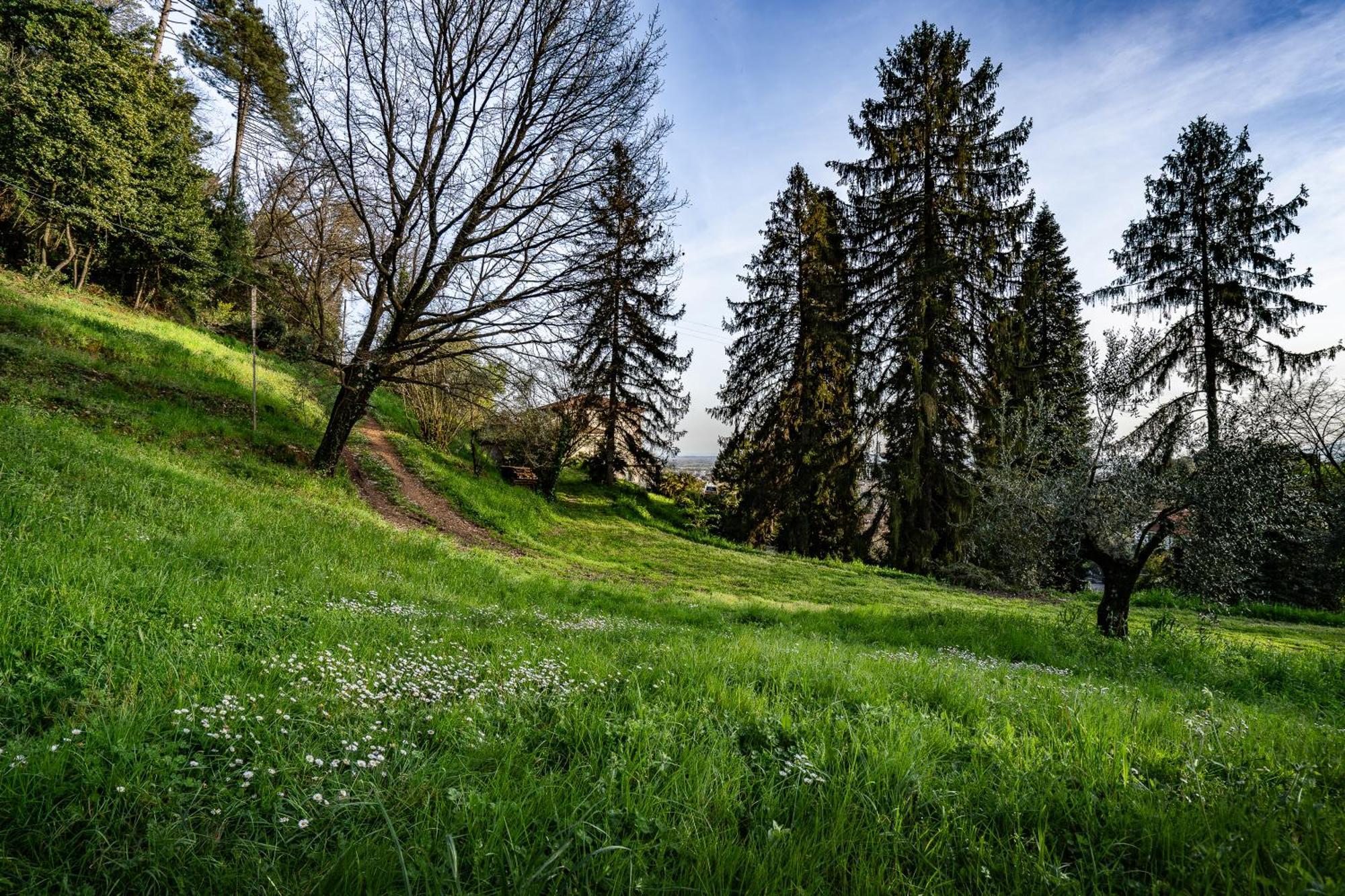 Agriturismo Terra Volonteri Montecatini Terme Eksteriør billede